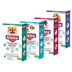 Ataxxa 200/40 Mg Hasta 4 KG...