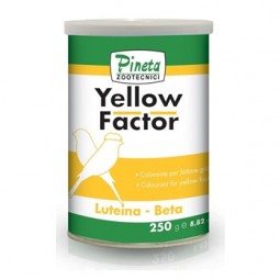 Pigmento Amarillo 250 gr...