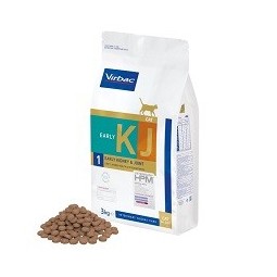 Cat KJ1 Early Kidney Y...