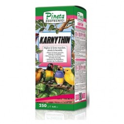 Karnityn 250 ml Pineta