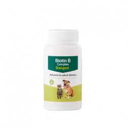 Biotin B Complex 100...