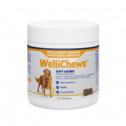 Wellichews Articulaciones...