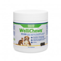 Wellichews Digestion Perro...