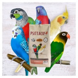 Pienso Psittacus Wet & Dry...