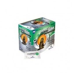 Pestigon Gatos 24 Pip